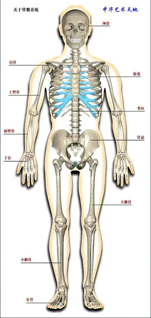 人体空间医学的人体空间医学简介_百度知道