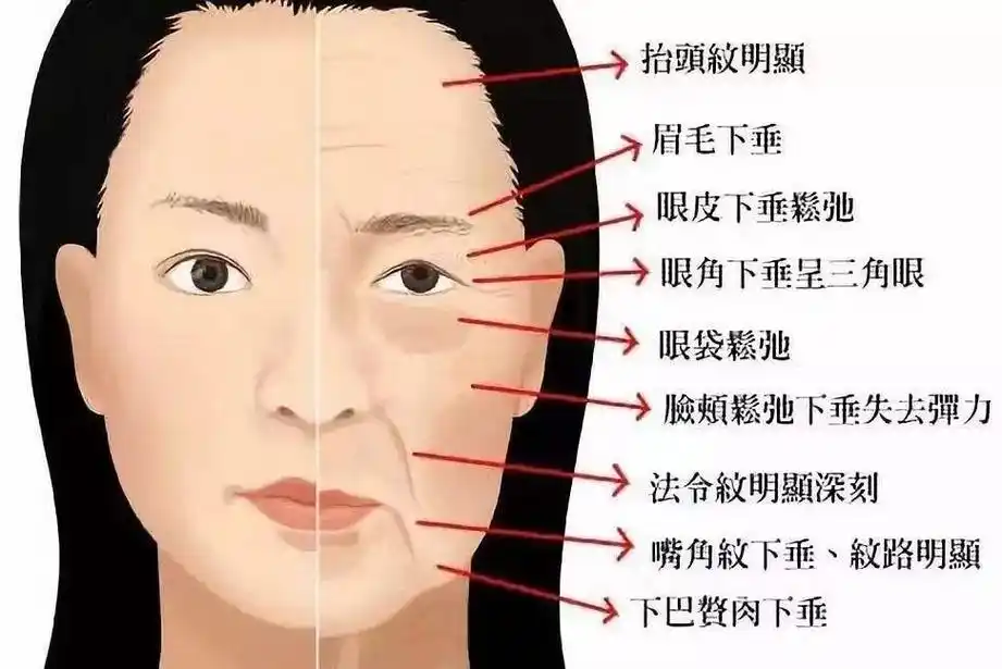从生物学上讲衰老是生物随着时间的推移,自发的必然过程,它是复杂的