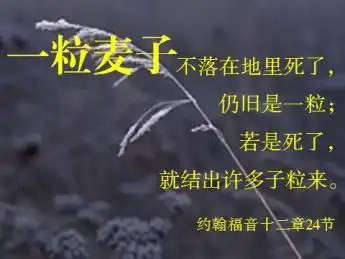 (三) 作为一粒麦子,祂