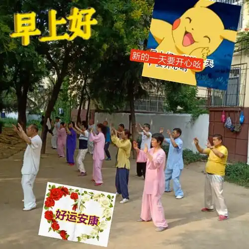 拳友们早上好,天天晨练身体好,吴式太极拳训练基地