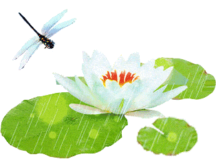 314_231gif 动态图 动图