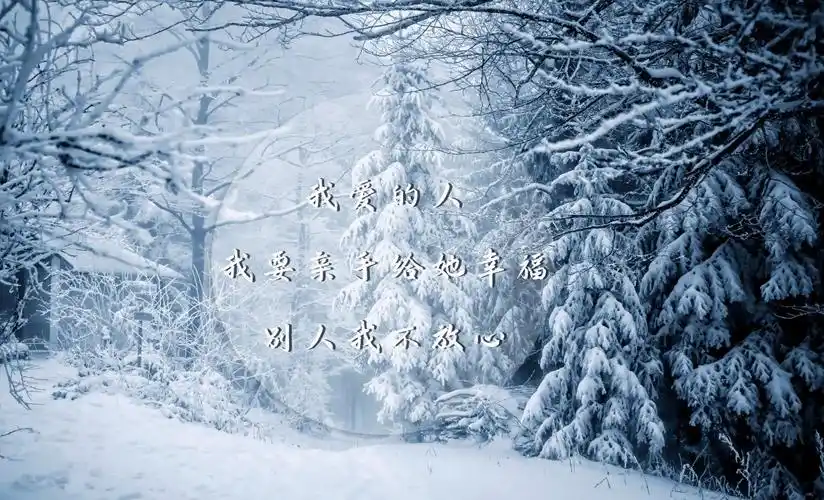 图片大全关于爱情的心情文字图片图片大全一句话关于爱情文字图片图片