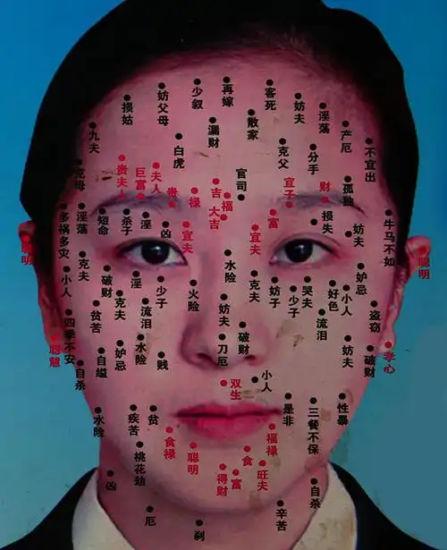 男女面部痣相图解