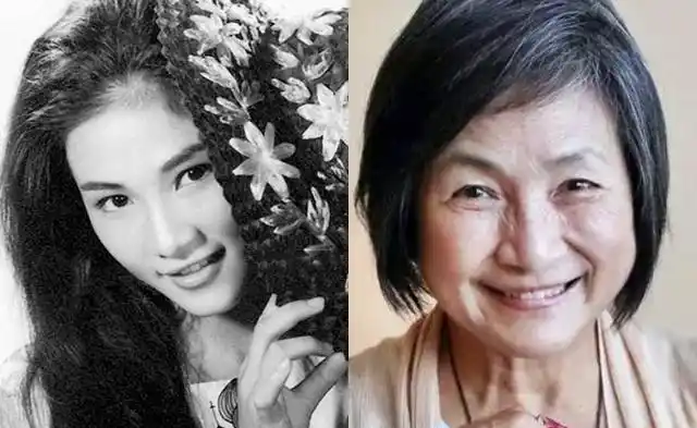 36年后《霍东阁》演员今昔对比照,钱小豪显老,郑佩佩成"星妈"