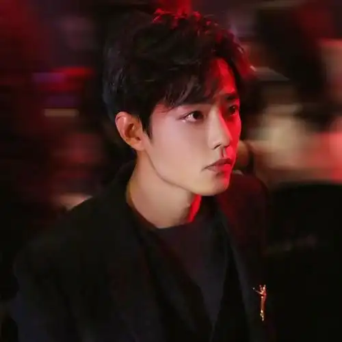 肖战头像精选二更‖"公子只应见画"