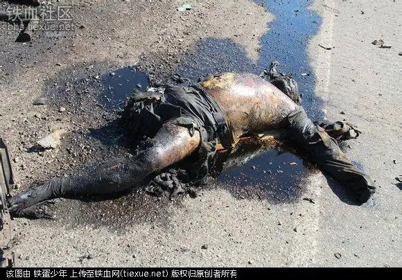 死掉的乌政府军士兵 烂成这样没人收尸