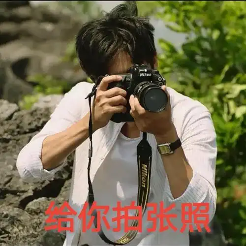 《隐蔽的角落》张东升表情包