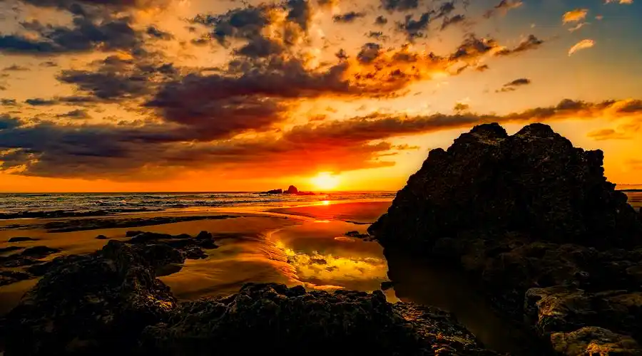 最美的一刻便是晚霞快要消失的样子,就像一朵硕大的莲花,怒放在天的