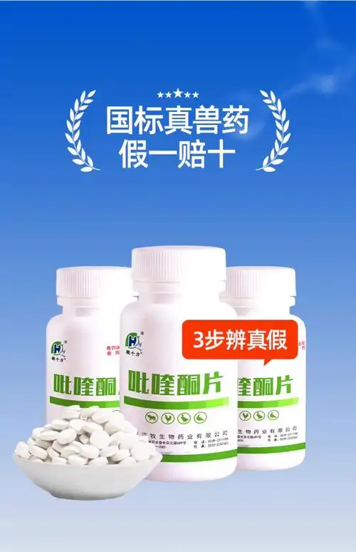 吡喹酮片猫用猫咪狗狗幼猫幼犬专用体内驱虫药宠物打虫除虫药正品