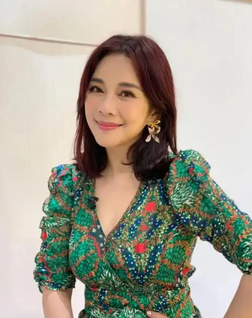 70后港台最美的13位女星她们个个漂亮大气你还知道谁