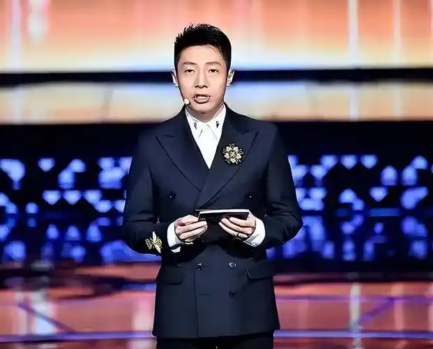 撒贝宁:才华与幽默并存,用魅力征服舞台