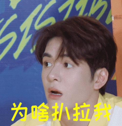 开一个第七期直播楼