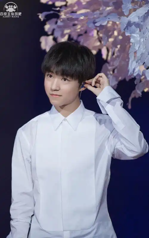 从开始到未来,只为王俊凯##王俊凯2024凯启甲辰