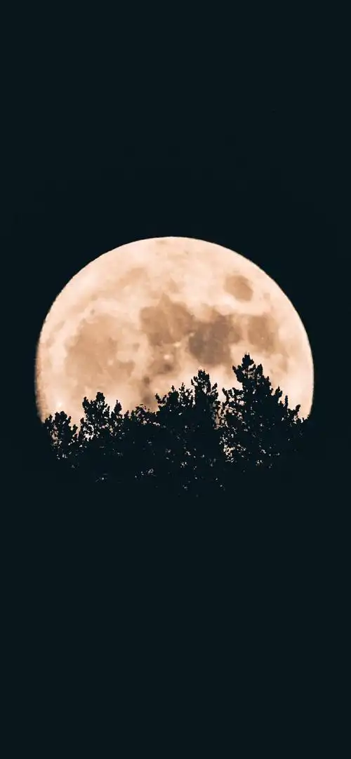 唯美月亮摄影高清手机壁纸-风景-手机壁纸下载-美桌网