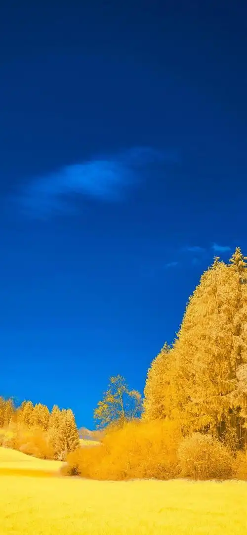 风景壁纸|色彩斑斓的大自然