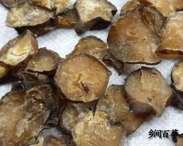 附子禁忌-附子的功效与作用中用法禁忌