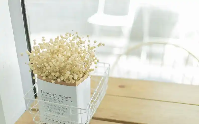 小清新静物摄影高清桌面壁纸