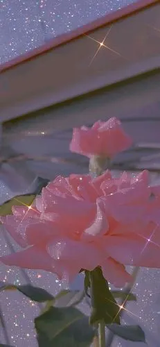 壁纸 八月嘀闪亮壁纸[吹爆][超仙]进来的人有[宝藏]觉得好看的点个赞