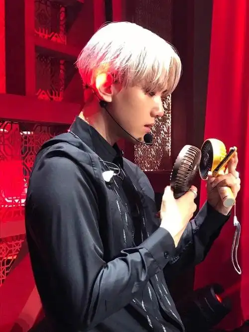 exo边伯贤绝美生图人间仙子壁纸锁屏