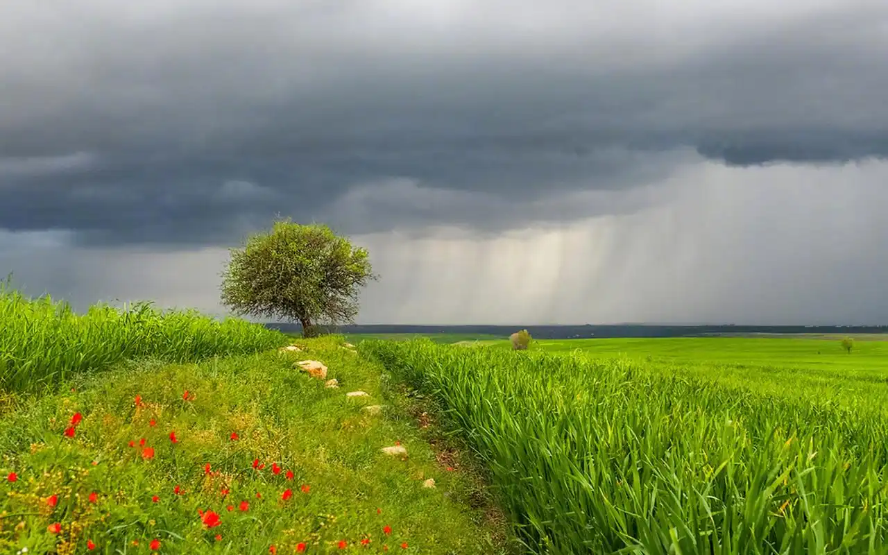 梦幻唯美自然风光图片高清壁纸,风景壁纸,唯美,护眼,高清,梦幻,自然