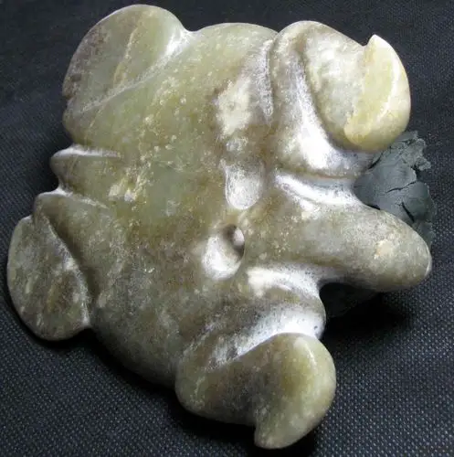 玉龟- 红山文化 论坛 - 任南红山文化官网 - powered by discuz!