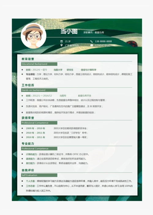 数据仓库个人简历模板