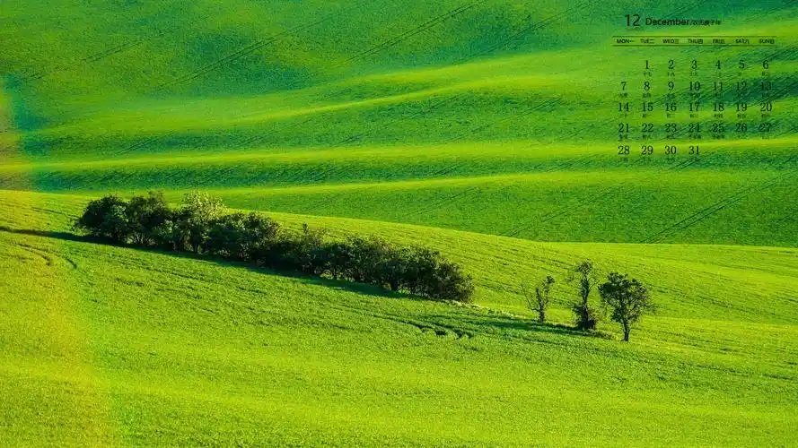 2020年12月高清绿色草地护眼日历壁纸