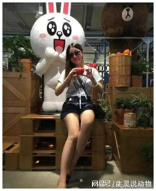 孟非妻子曝光惊艳众人,年轻貌美令鲁豫直呼太漂亮!