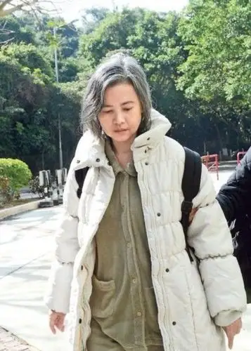 蓝洁瑛自曝被强暴后首露面略有发福