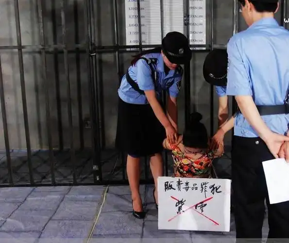 女毒枭的末日:长这么漂亮也害人