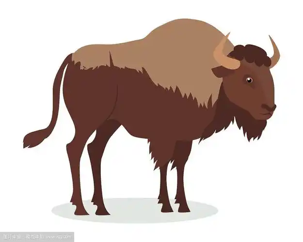 美国野牛卡通图标在平面设计