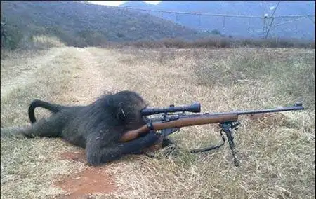 搞笑图片! 看过保证让你心情大好! 太奇葩了!