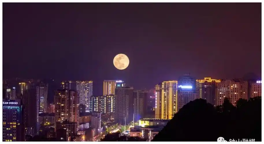 镜头里的钟山|月是故乡明