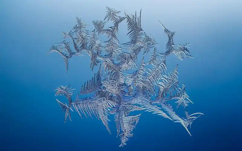 壁纸 雪花,冰,蓝色背景