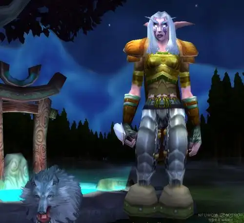 罗伯斯&60女猎人|国外魔兽世界怀旧服交易|nfu交易所