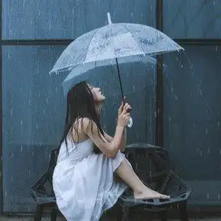 冰(勿合见谅) 雨中泪