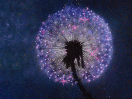 动态图gif蒲公英gif唯美gif设计素材gif