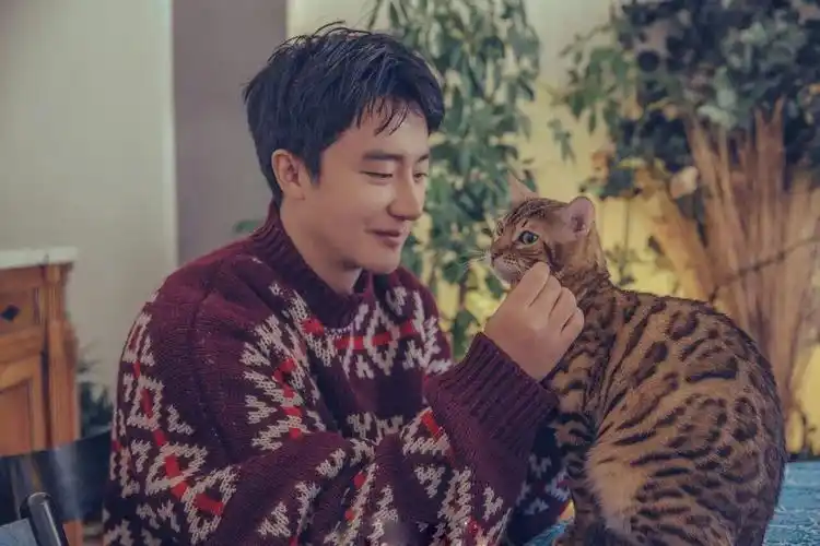 黄轩有什么好看的适合做手机壁纸的图片? - 知乎