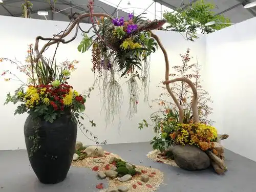 第十三届中国菊花展(二)(室内盆景插花)