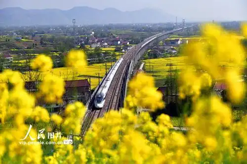 2021年3月24日,一列动车组列车行驶在陕西汉中市境内的西成高铁上.