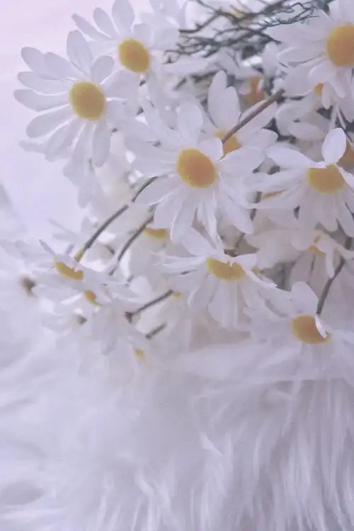 壁纸 桌面壁纸 聊天背景 锁屏壁纸 ins 油画 iphone 【禁商用】