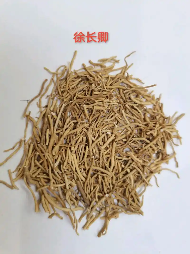 中药——徐长卿