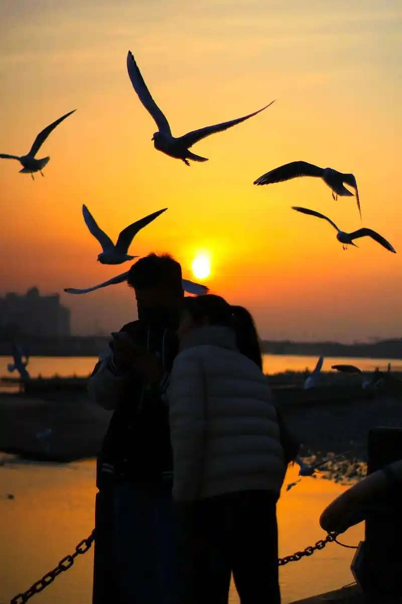 昨天下午在音乐广场看到这对情侣,夕阳下的互动很唯美,应该是周 - 抖