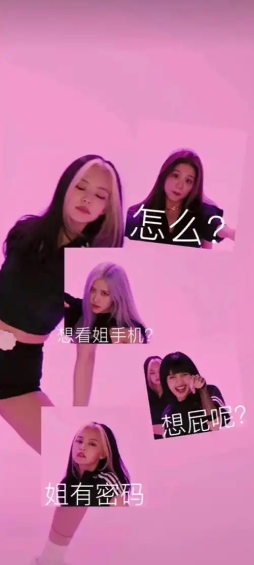blackpink搞笑壁纸