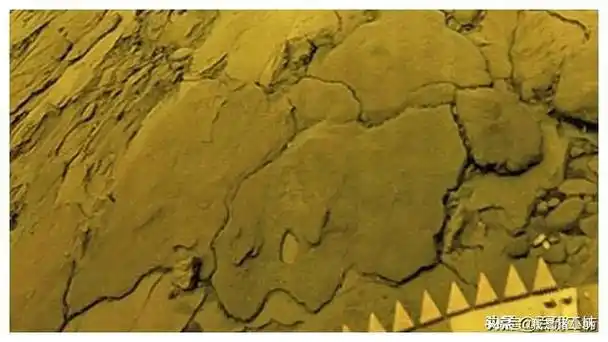 这些是迄今为止拍摄的唯一一张金星表面的照片