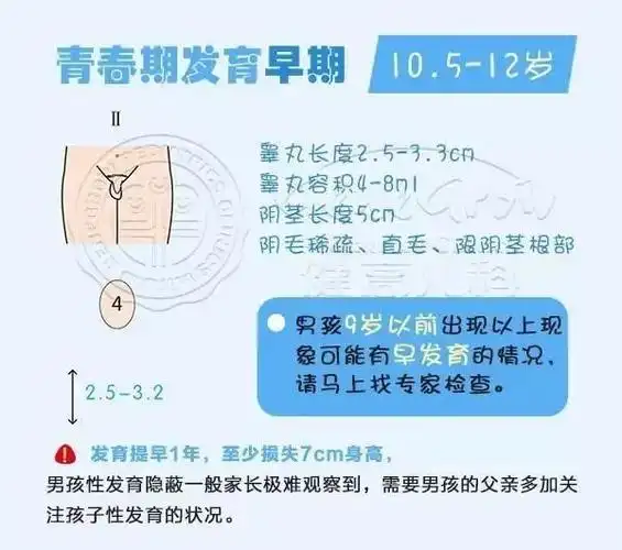 助孕!男孩子13岁青春期正常吗"怀孕症状"-第1张图片-益宝网