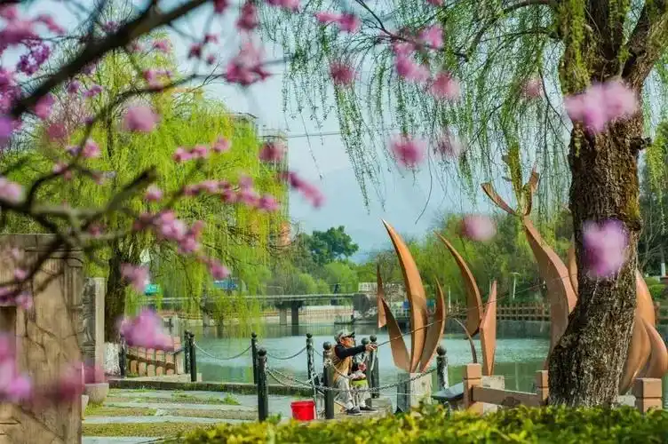 快收藏!常山春天美图大片,张张都是桌面背景级别