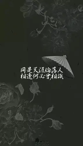古风 意境 情话 文字 壁纸 小红伞#相逢何必曾相识