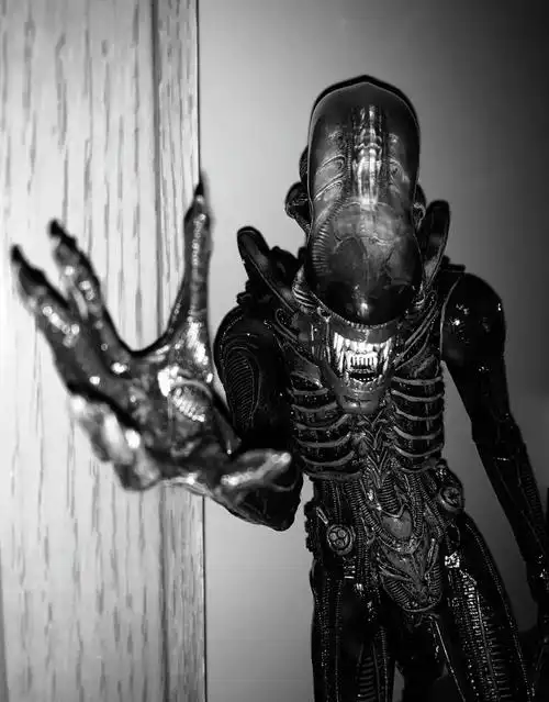 大家有买过恐怖题材的手办或周边吗?