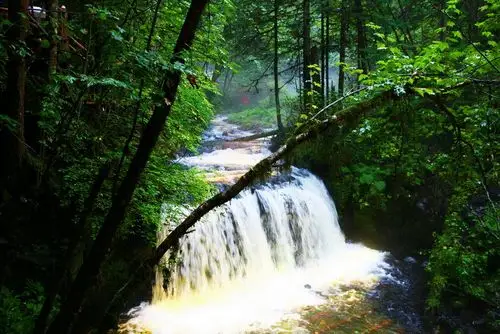 长白山原始森林掠影
